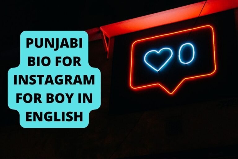 punjabi-bio-for-instagram-for-boy-in-english-supertadka