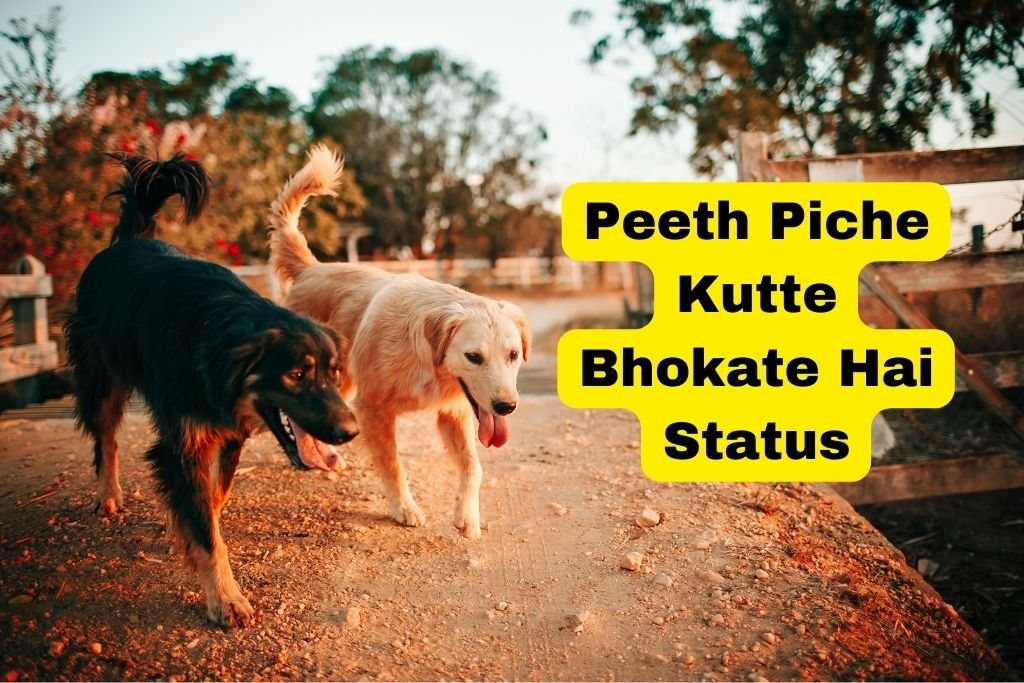 Peeth Piche Kutte Bhokate Hai Status