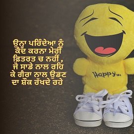 Smile Status In Punjabi For Instagram