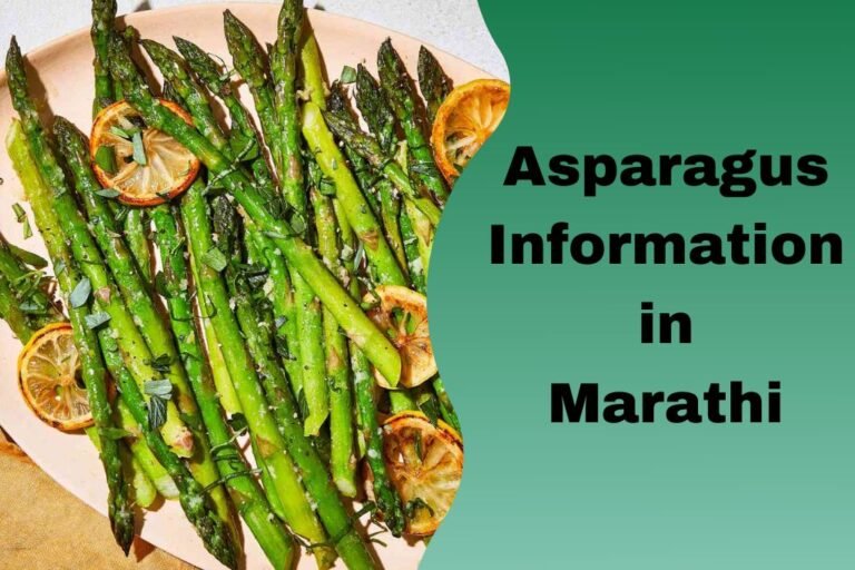 शतावरीची संपूर्ण माहिती मराठी Asparagus Information in Marathi