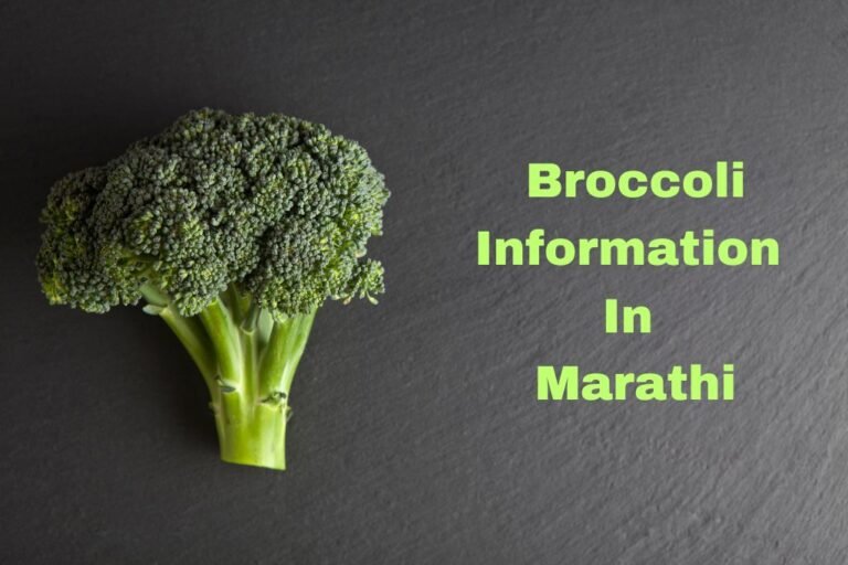 ब्रोकोलीची संपूर्ण माहिती मराठी Broccoli Information In Marathi