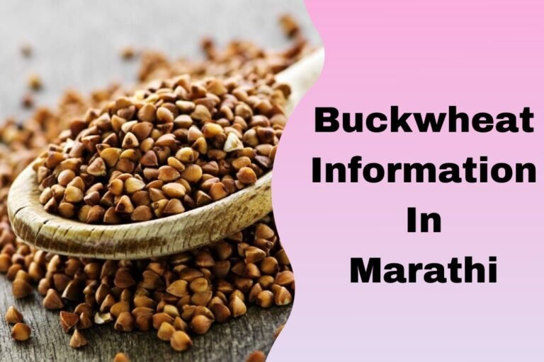 बकव्हीट ची संपूर्ण माहिती मराठी Buckwheat Information In Marathi