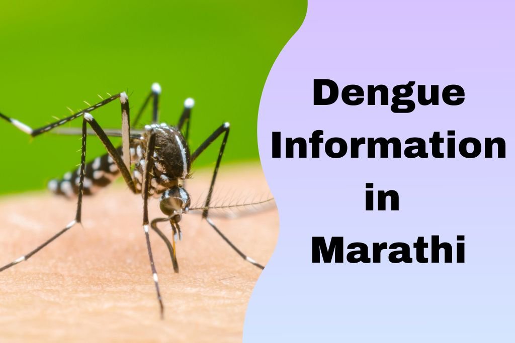 Dengue Information in Marathi