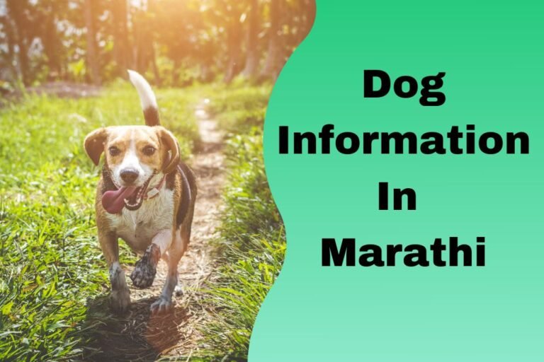 dog-information-in-marathi