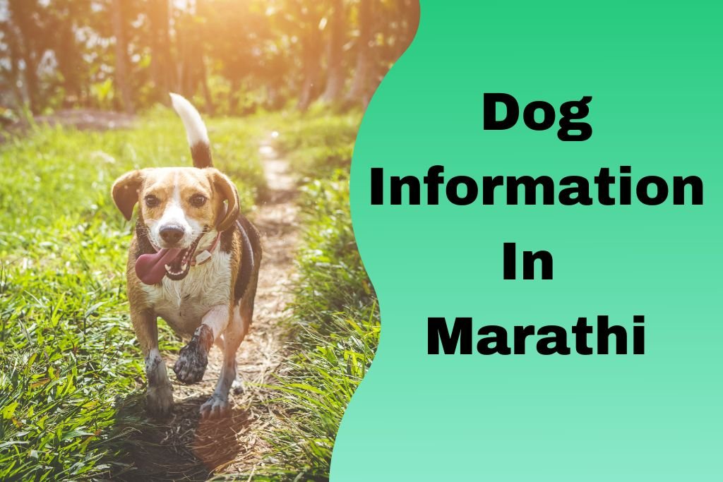 Dog Information In Marathi
