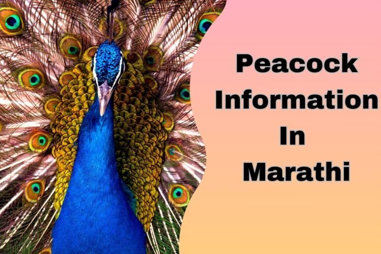 peacock-information-in-marathi