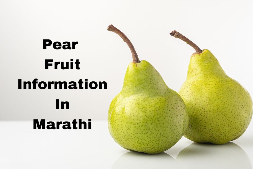  Pear Fruit Information In Marathi