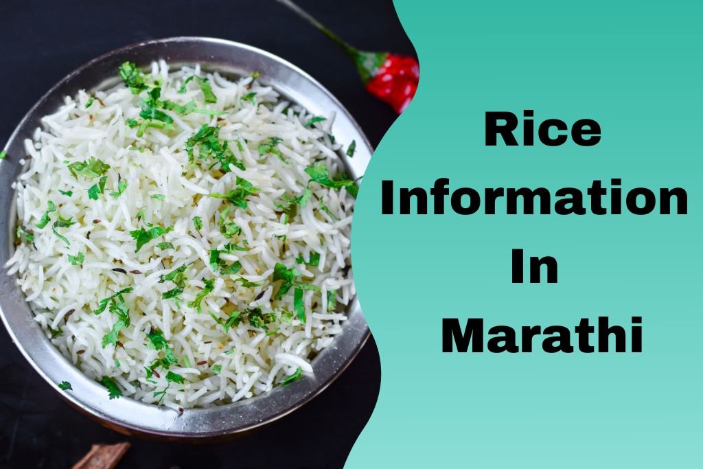 Rice Information In Marathi