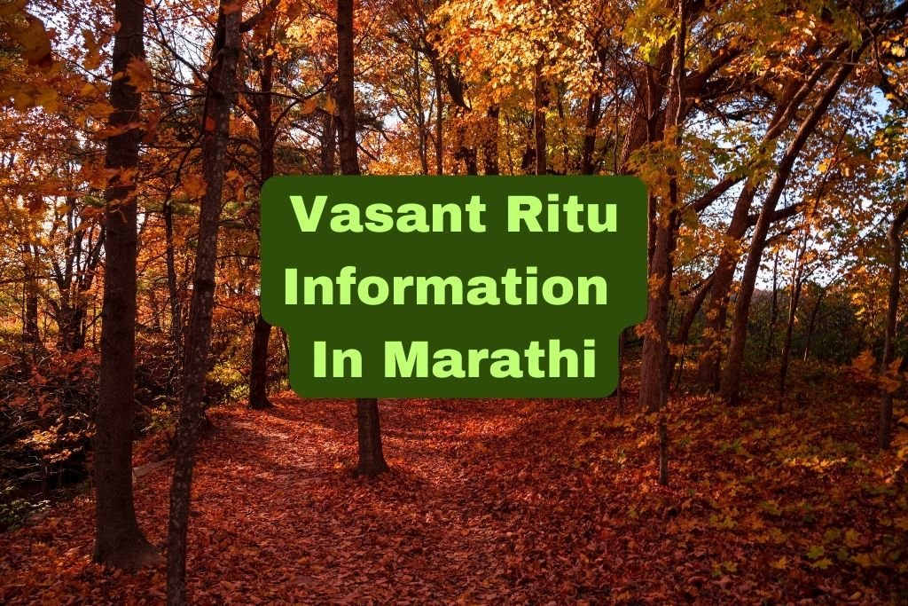 Vasant Ritu Information In Marathi