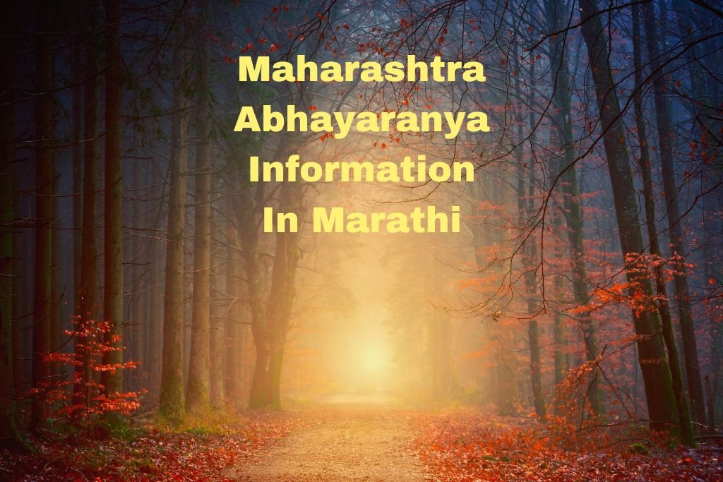 Maharashtra Abhayaranya Information In Marathi