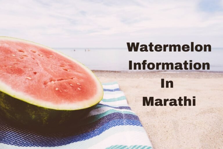 टरबूजची संपूर्ण माहिती मराठी Watermelon Information In Marathi