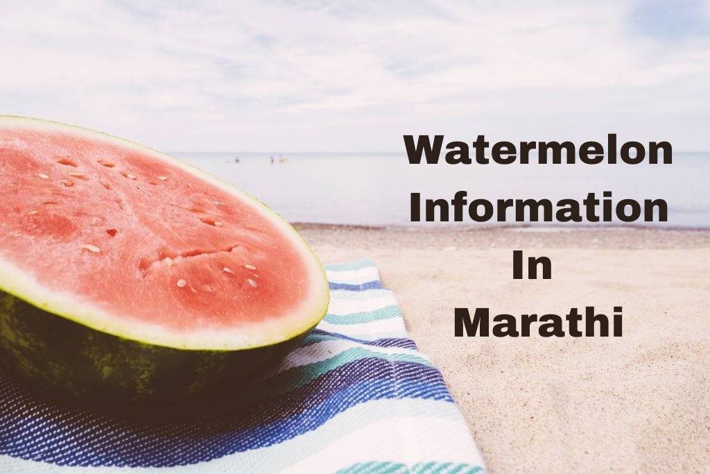 Watermelon Information In Marathi