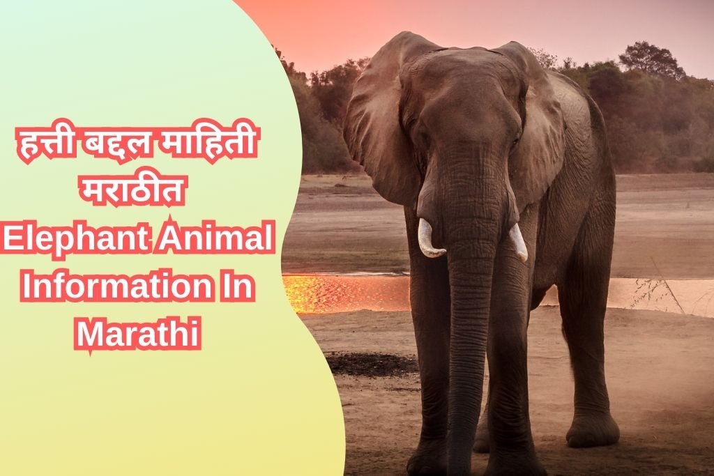 Elephant Animal Information In Marathi