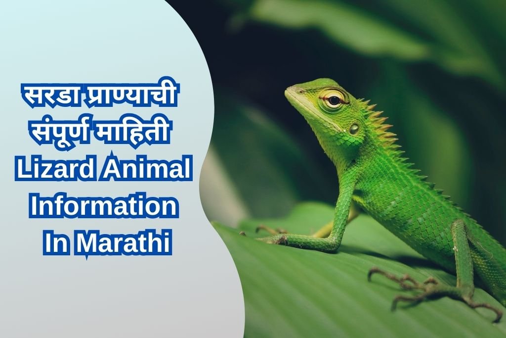 Lizard Animal Information In Marathi