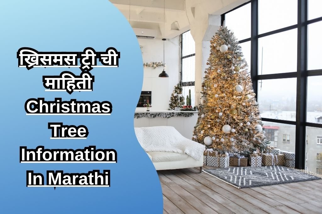 ख्रिसमस ट्री ची माहिती Christmas Tree Information In Marathi
