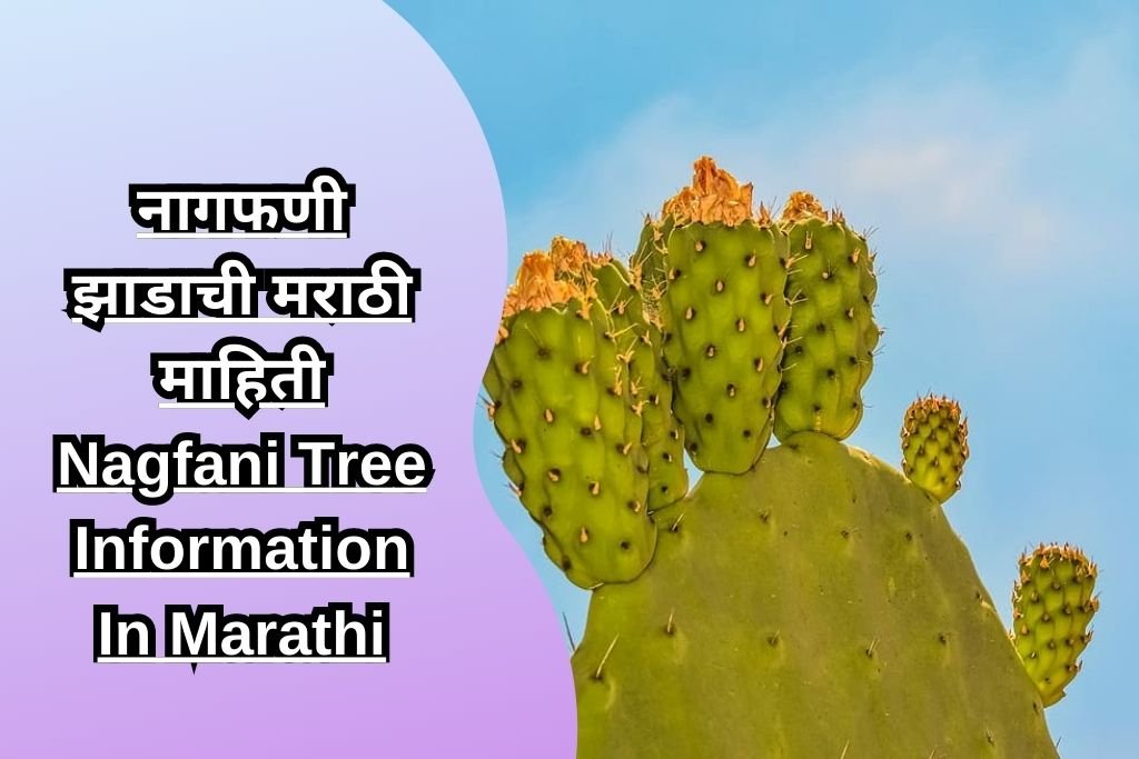 नागफणी झाडाची मराठी माहिती Nagfani Tree Information In Marathi
