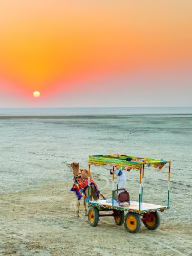 Kutch (Gujarat): Rann Utsav cultural festival in the mesmerizing white salt desert.